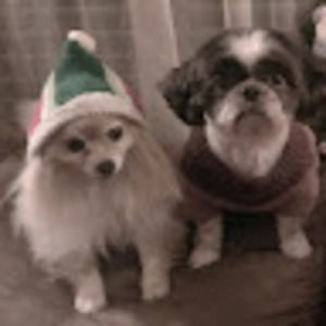 Meet your Posher, Marcella